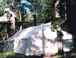 Wall Tent