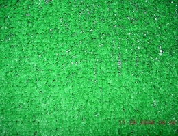 Indoor/Outdoor Carpet Sample