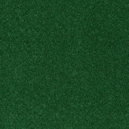 Outdoor Carpet